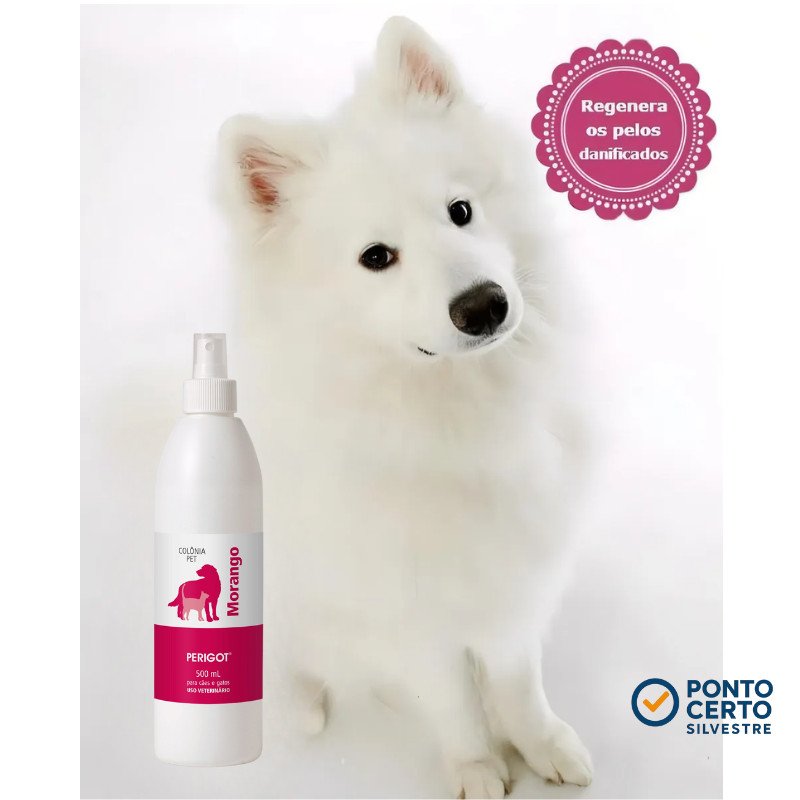 Banho Pet Morango Do Amor Colônia Perfume Morango Perigot 500ml para Cães e Gatos
