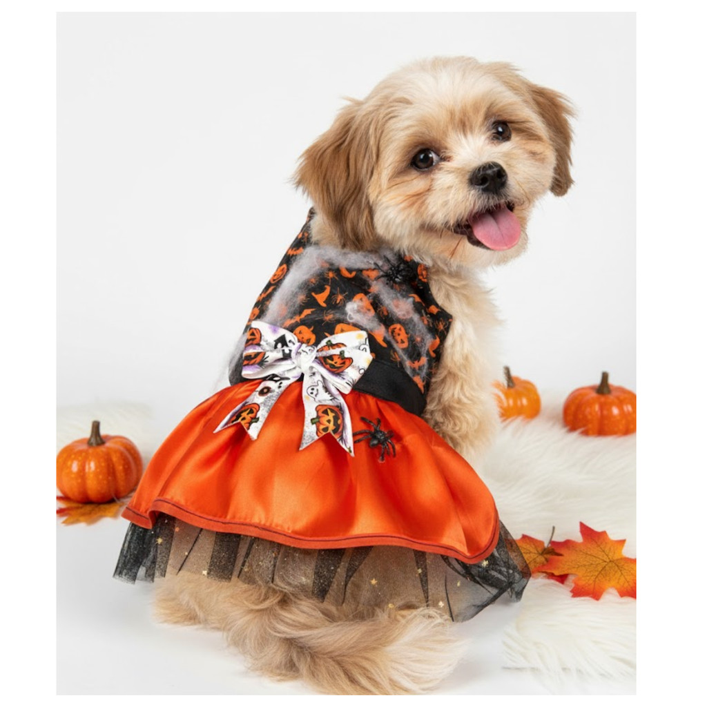 Roupa para cachorro  pet Fantasia Halloween premium luxo disponível em diversos tamanhos gato