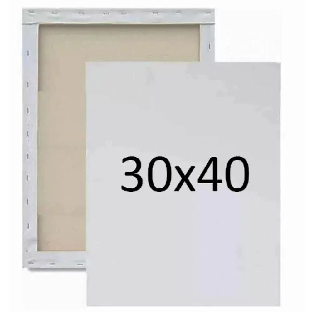 Kit Com Telas Para Pintura 30x40cm Algodão - Uso Profissional e Artístico Arte Artesanato