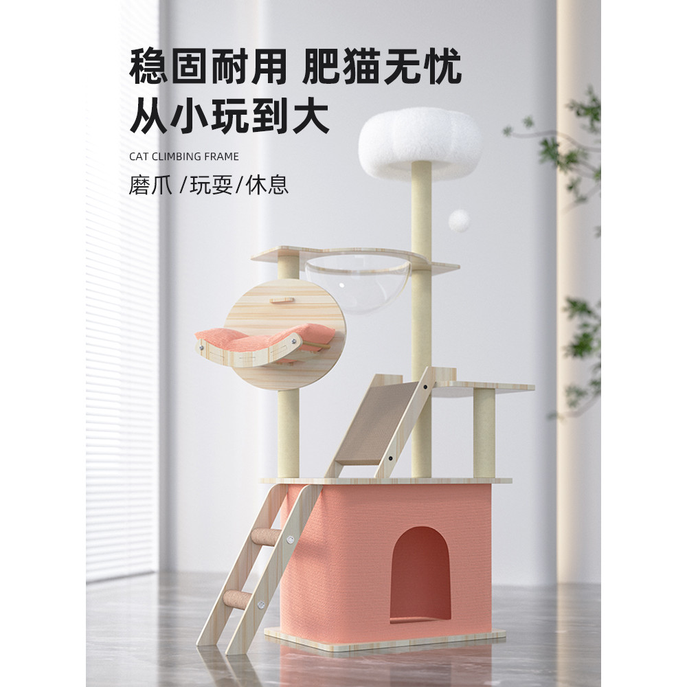 Quadro de escalada para gatos, maca para gatos, árvore integrada, placa para arranhar, plataforma de salto, cápsula espa