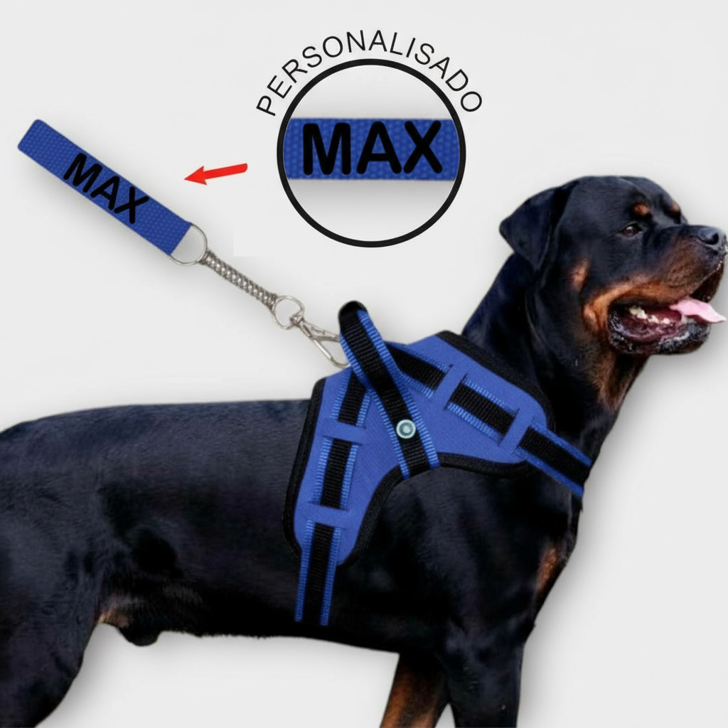 Coleira para Cachorro nome gravado na guia anti puxao