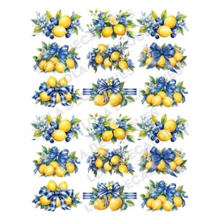 Decalque Hidro Transfer - Limão Siciliano e Mirtilos em Oferta na Shopee