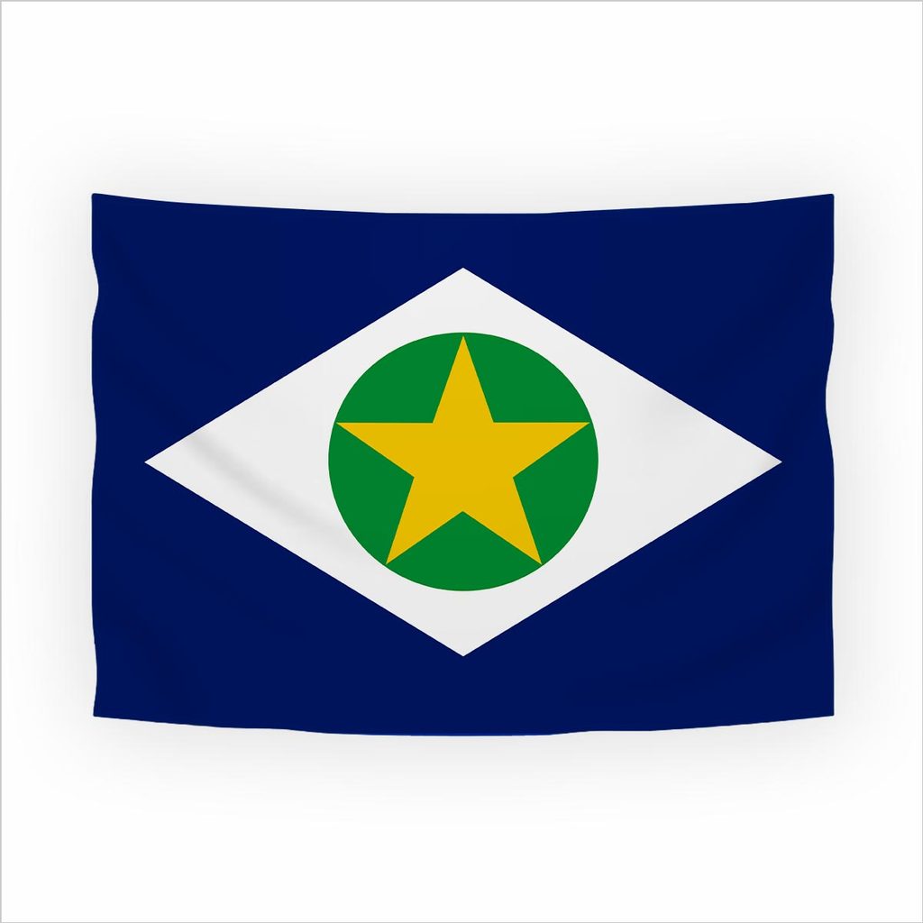 Bandeira Mato Grosso Tecido Oxford