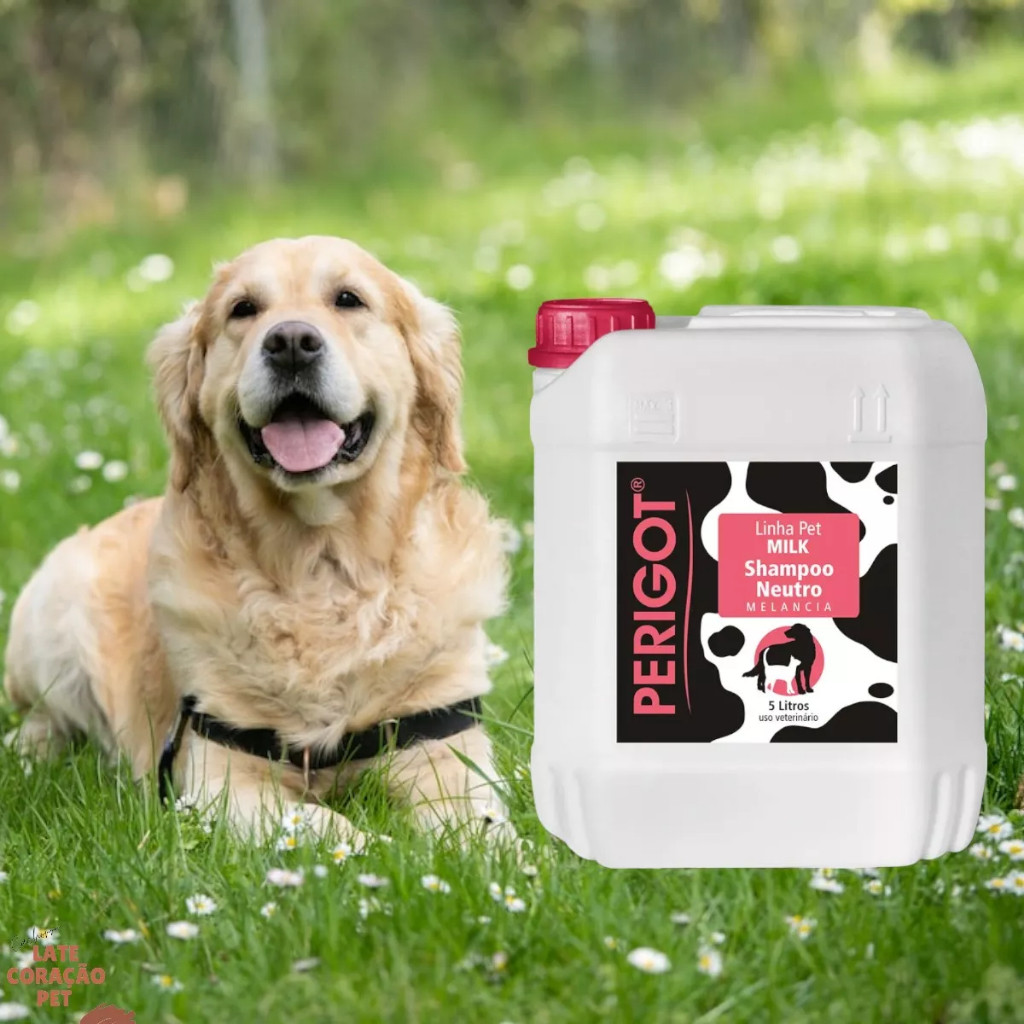 Shampoo Neutro Melancia Milk 5 Litros Perigot Banho Tosa Cães Gatos Pet