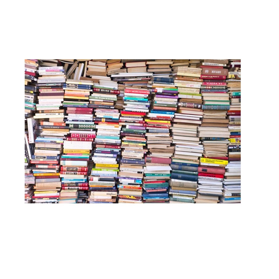 Lote 10 livros de literatura aleatório (aventura,filosofia ,romance, auto-ajuda,ficção, terror, historia...) autor vario