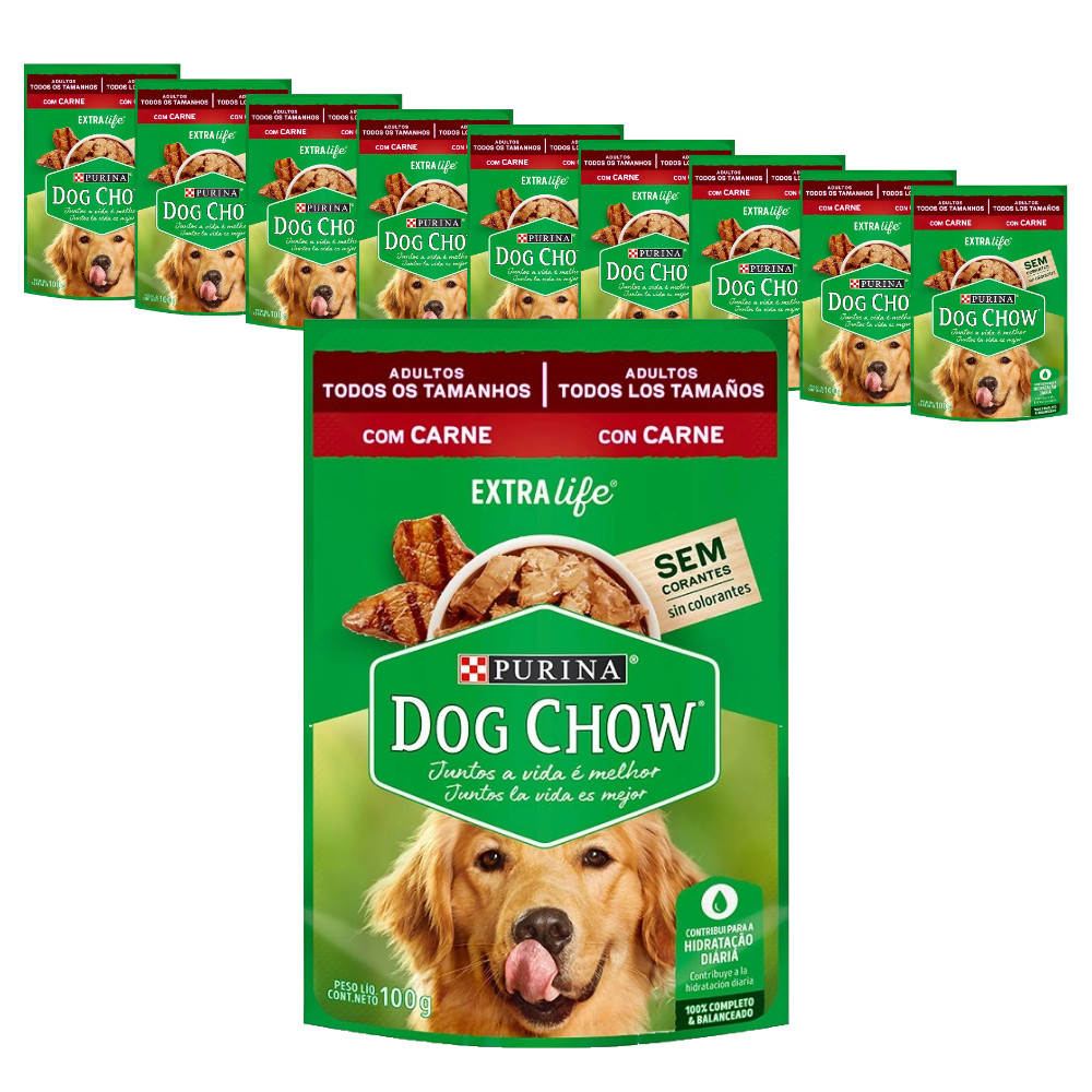 Ração Úmida Sachê Dog Chow Cães Adultos Carne - 100g - KIT 10 unids.