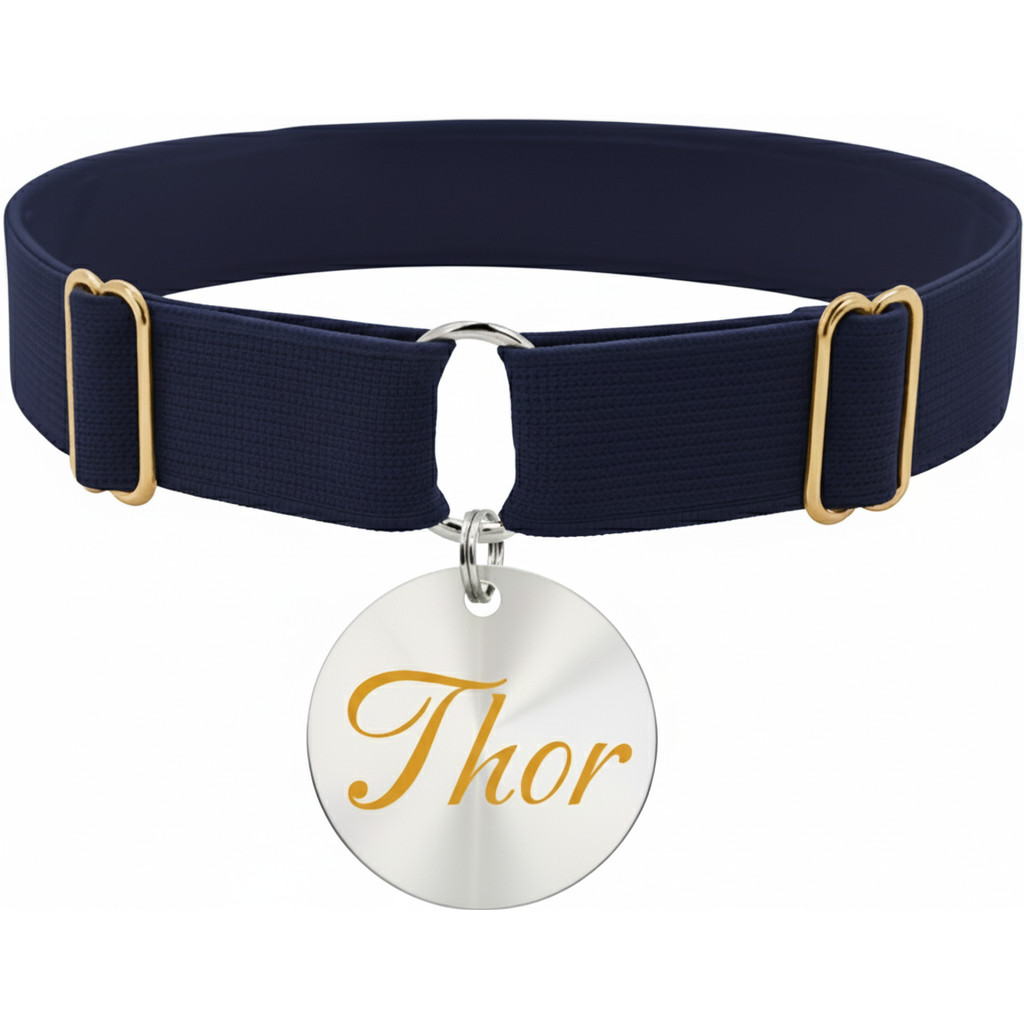 Coleira Confortável Regulável Elástica e Plaquinha Identificação Telefone e Nome Cachorro