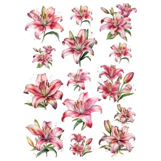 Decalque Hidro Transfer - Flores - Lírios cor de rosa em Oferta na Shopee