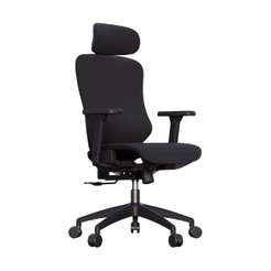 Cadeira Ergonômica Premium Rasala com Apoio Lombar, Encosto Ajustável e Reclino