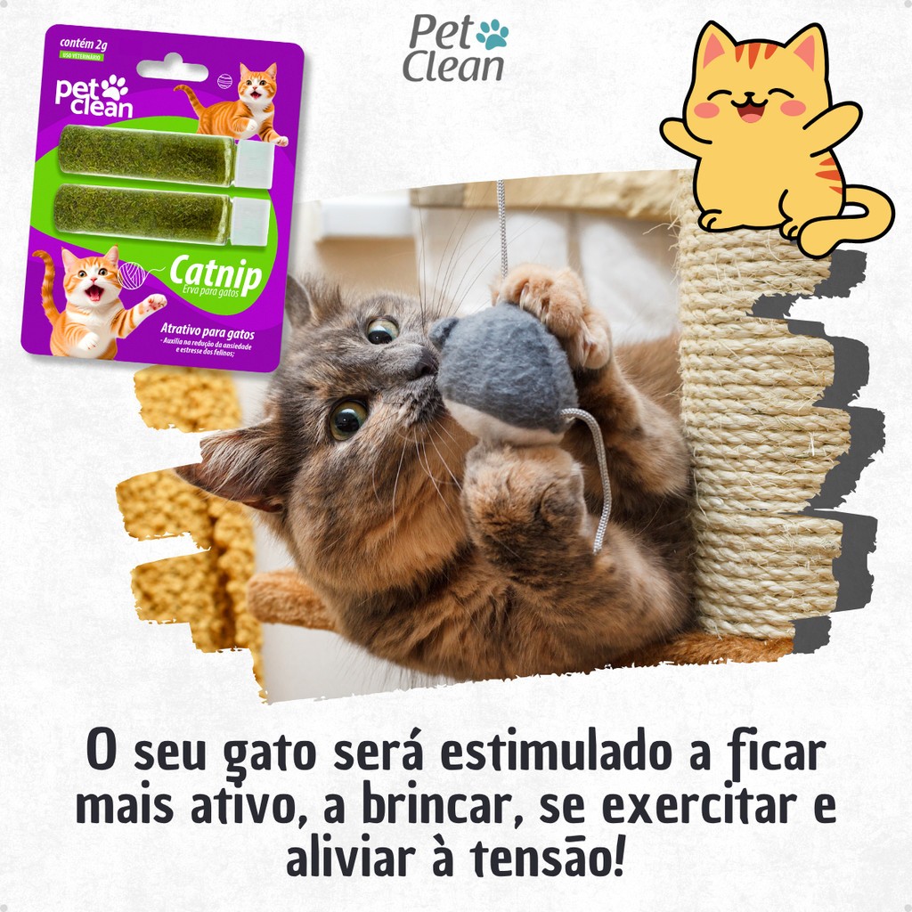 Detalhes do Atrativo Catnip Erva de Gato Erva Gateira para Gatos 2 Frascos 2g Pet Clean