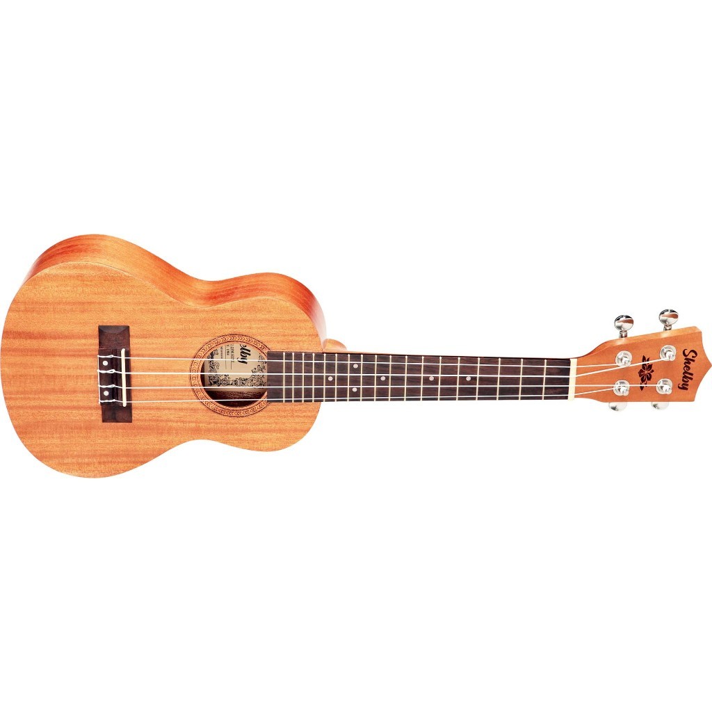 Ukulele Concert: Onde Comprar | BuscaProdutos