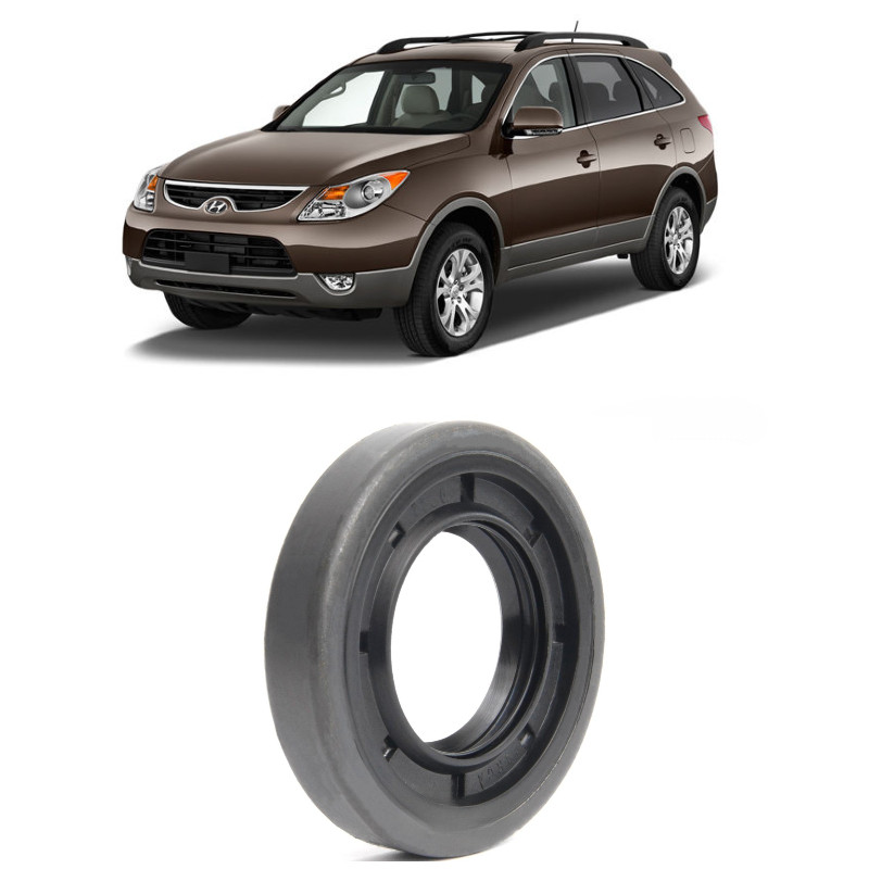 Retentor Pinhão Diferencial Traseiro Hyundai Veracruz