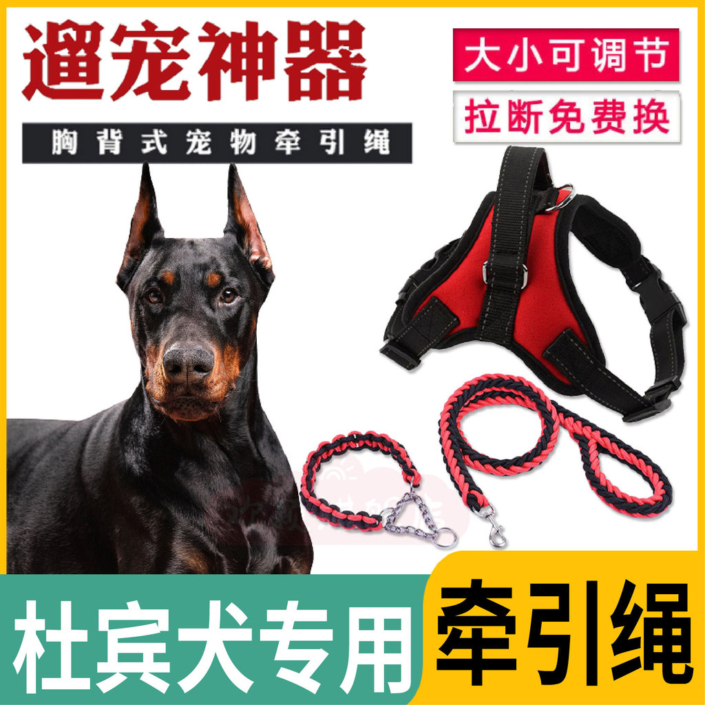 ✅ Animal de Estimação ✅ Corda de Tração Treinamento Suprimentos Específicos Para Caminhada De Cães Doberman : Arnês E Tr