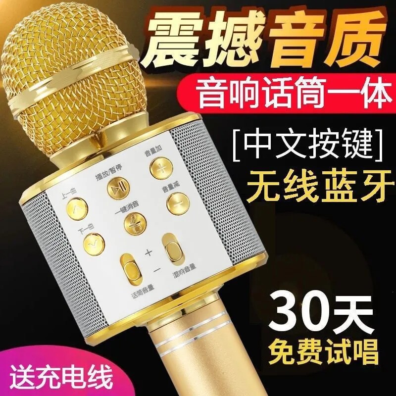 [Oferta Especial] Microfone e Alto-falante Integrados para Karaokê em Celular, Acompanha Placa de Som, Bluetooth Sem Fio