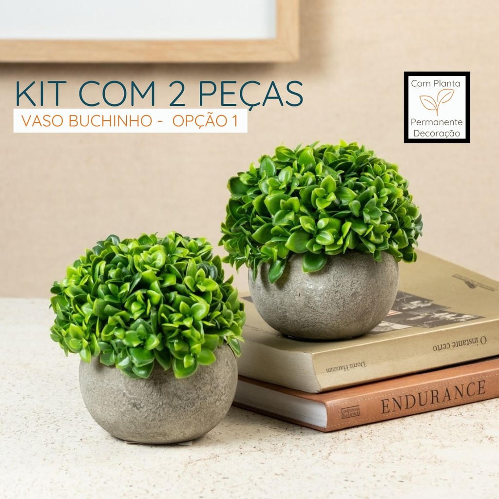 Buchinha Planta: Onde Comprar | BuscaProdutos