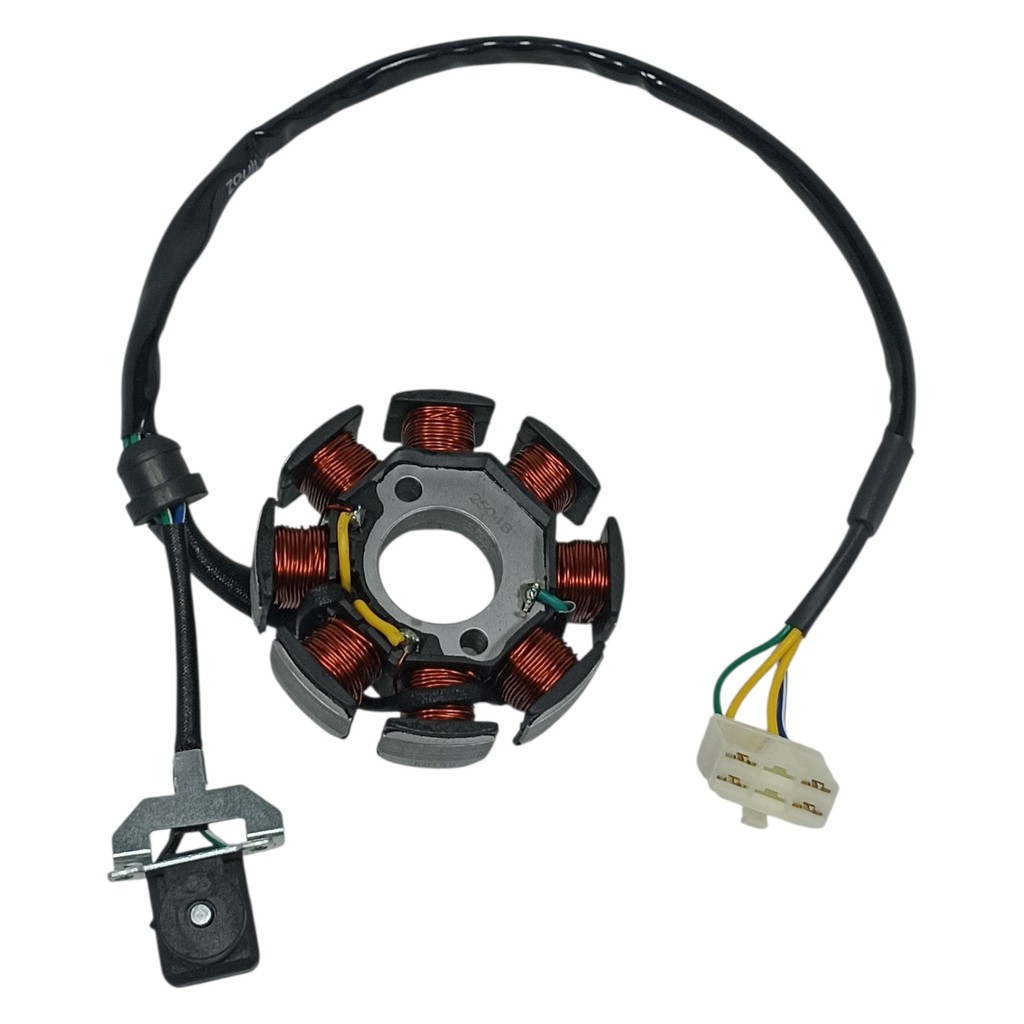 Estator Shineray Moto Xy150 Explorer 2007 Xy150 Max 2007 (motor prata)