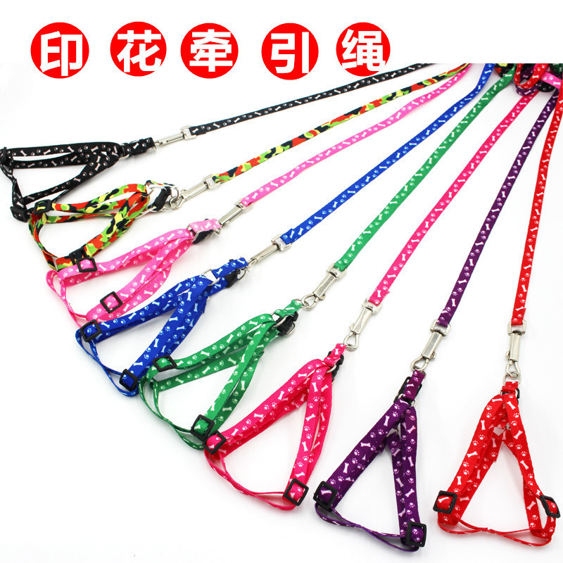 Conjunto de trela para animais de estimação com estampa de osso para animais de estimação