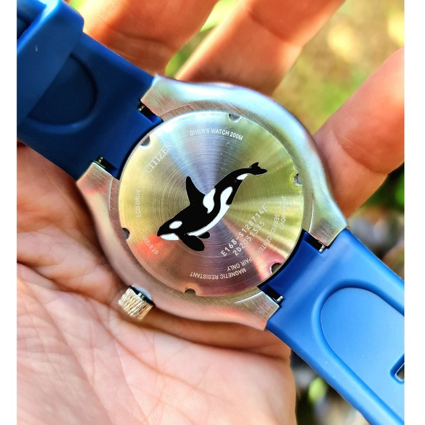 Mega Promoção Exclusiva Relógio Masculino Aqualand Orca Prova de água Com Caixa e Bateria Extra Envio Imediato