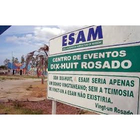 Uns tantos meninos de Lavras que ajudaram a construir a ESAM de Vingt -Un Rosado 7192636