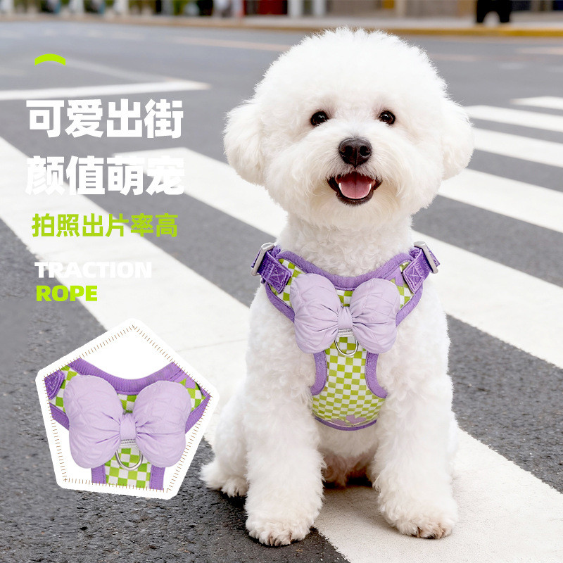Coleira para cães, arnês para animais de estimação, arnês respirável para filhotes Bichon Teddy para passeios ao ar livr