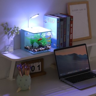 Mini Aquário Completo 2L C/ Led Bomba Submersa Filtro Bivolt 2 Cores