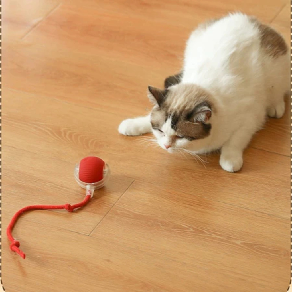 Gato Brinquedo Gravidade Inteligente Rolando Bola Elétrica Provocando RIVIRLA