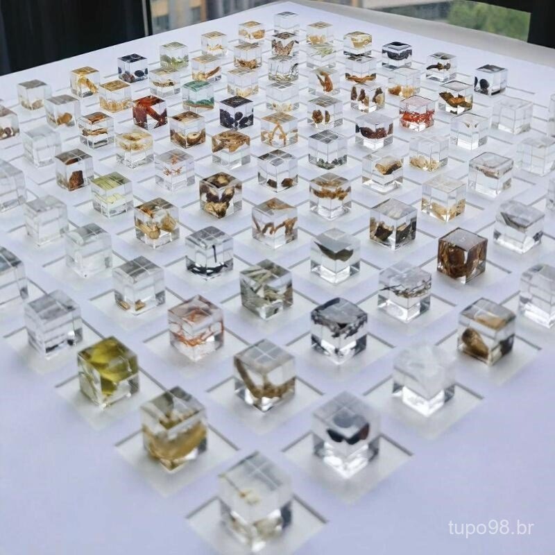 Arte de Parede em Resina de Medicina Tradicional Chinesa, Pequena Moldura Quadrada de Resina, Espécimes de Resina de Med