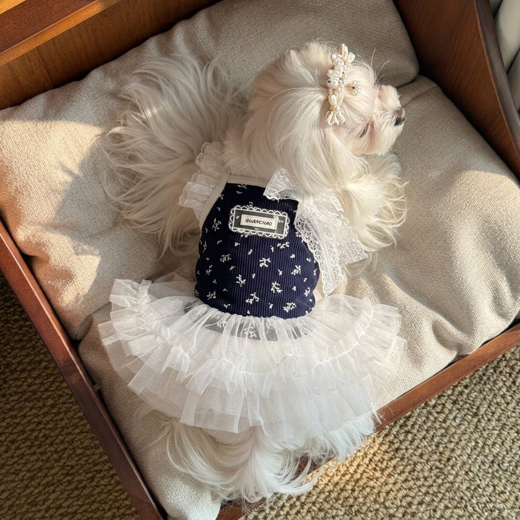 Roupas para cães e gatos, primavera verão, estilo fino, vestido de renda Floral, gradiente dourado, Muppet, gato, gatinh