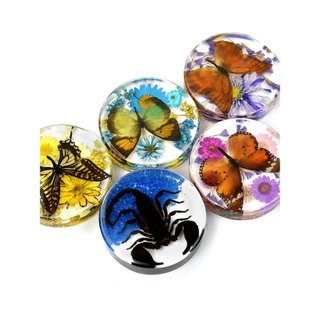 Disco de espécime de borboleta real, ornamento de resina âmbar com espécime de inseto, presente para casais e crianças, 