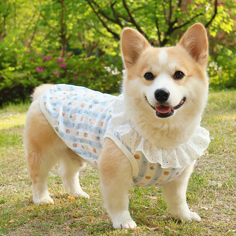 Shiba Inu Corgi Dachshund cão roupas legais primavera verão colete fino bonito anti-lint anti-sujo protetor solar