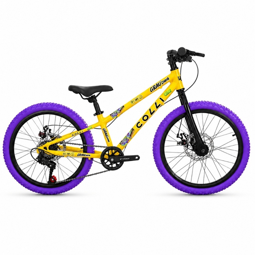 Bicicleta Aro 20 Infantil Grauzinha Colli