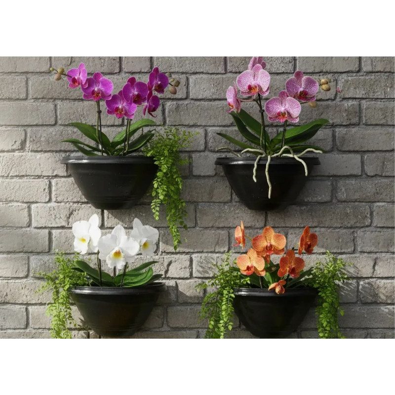 Kit 4 Vasos Parede Decoração Jardim Vertical Orquídea Flores Planta Meia Lua
