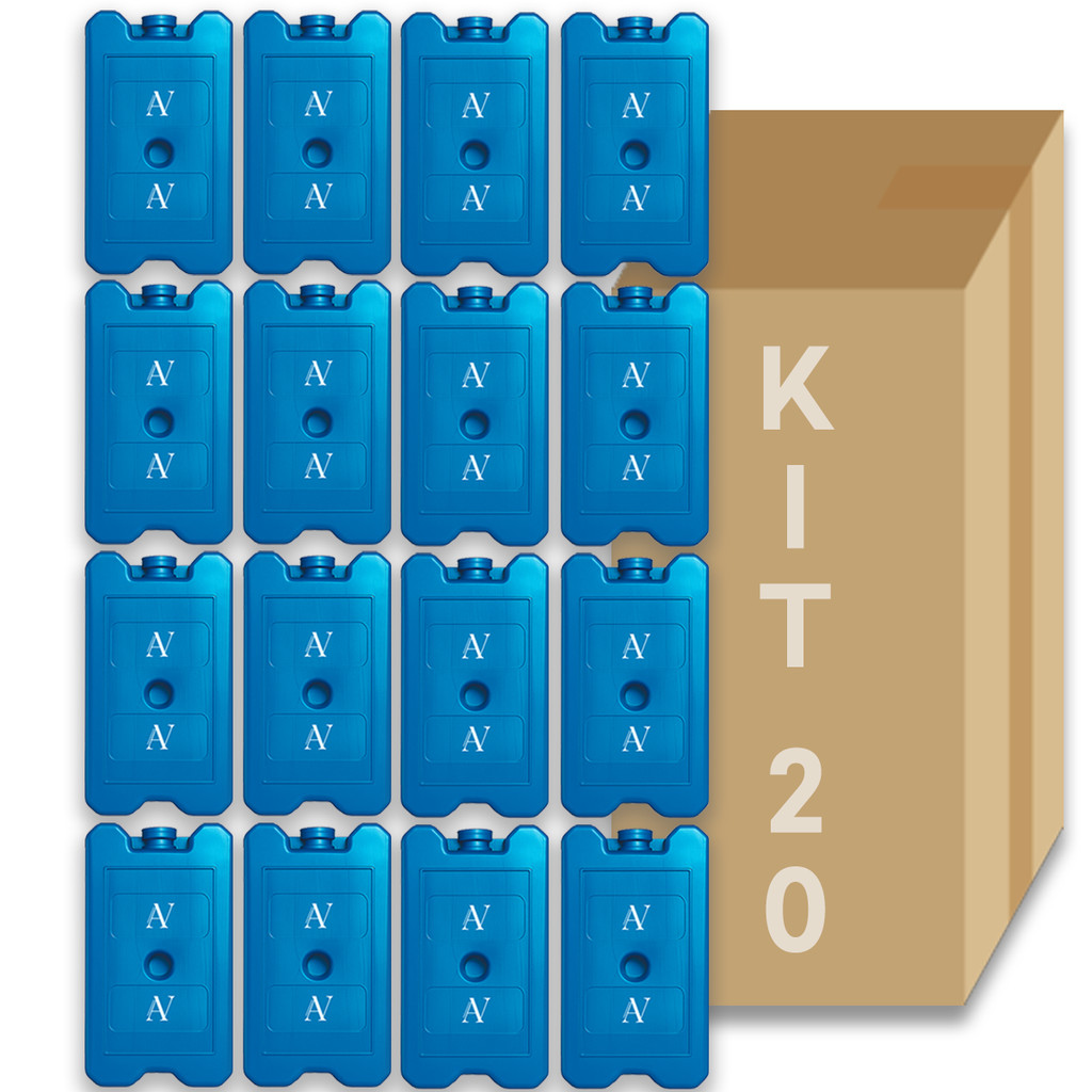 Gelo Artificial Reutilizável Rígido De 500ml 20 Unidades em Oferta na Shopee