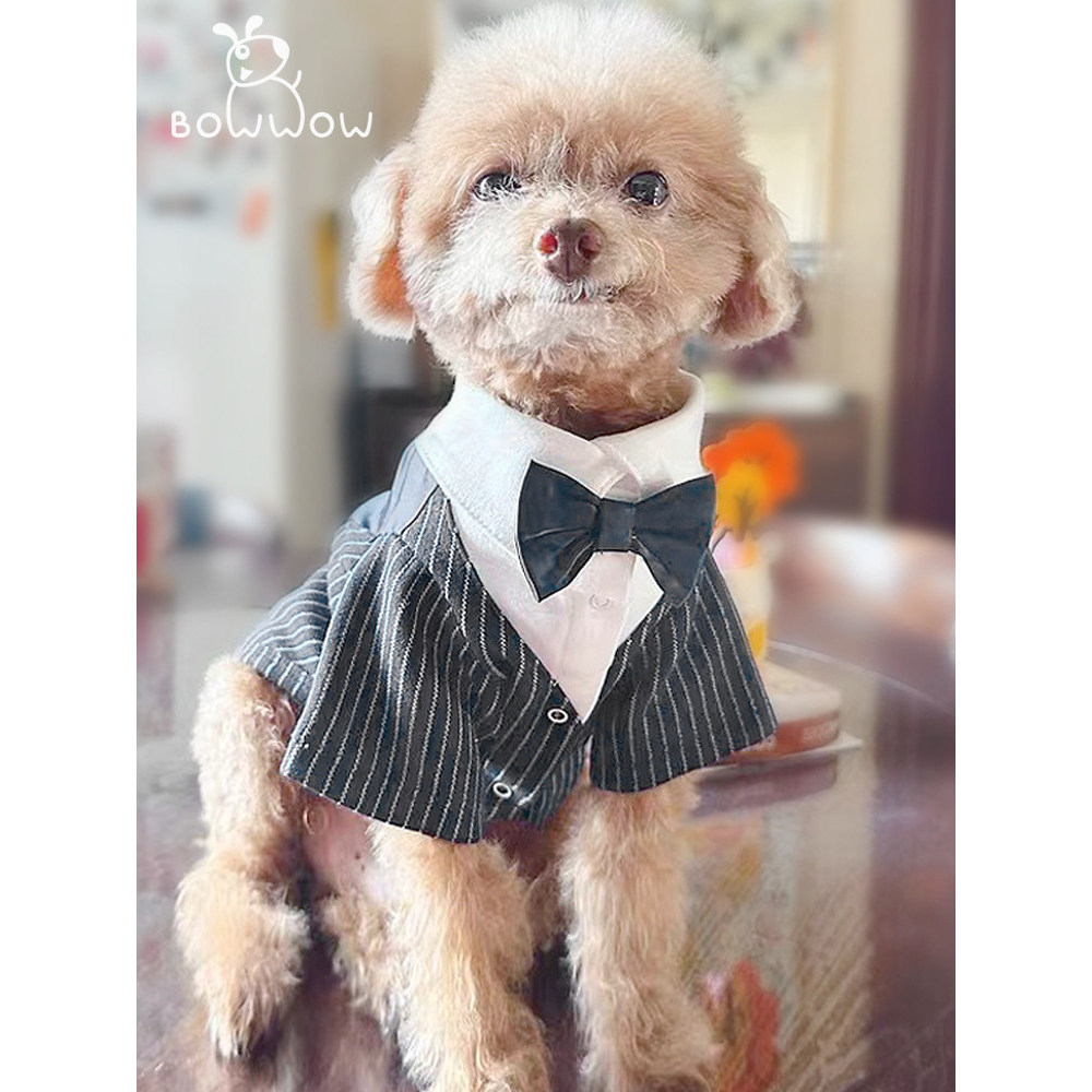 Primavera novo estilo roupas para animais de estimação Teddy Bichon Corgi pequeno médio cão terno vestido roupas para cã
