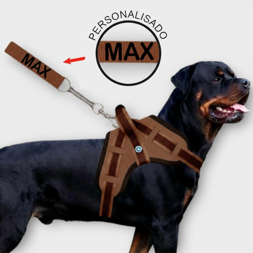 Coleira Identificação Pet Personalizada com Nome em Oferta na Shopee