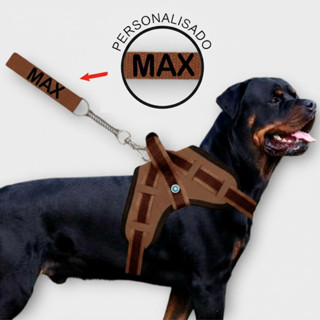 Coleira Identificação Pet Personalizada com Nome em Oferta na Shopee