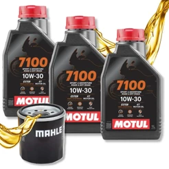 Troca de Óleo Cb 500x Cbr 650f Cb 600f Hornet Motul Sintético 7100 10w30 + Filtro