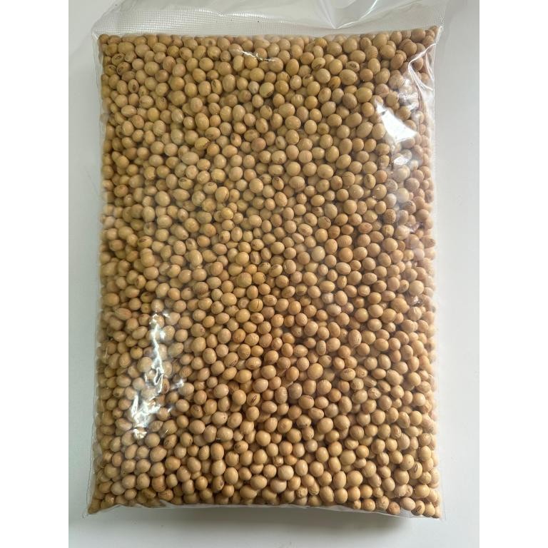 Soja em Grãos Premium - 1kg