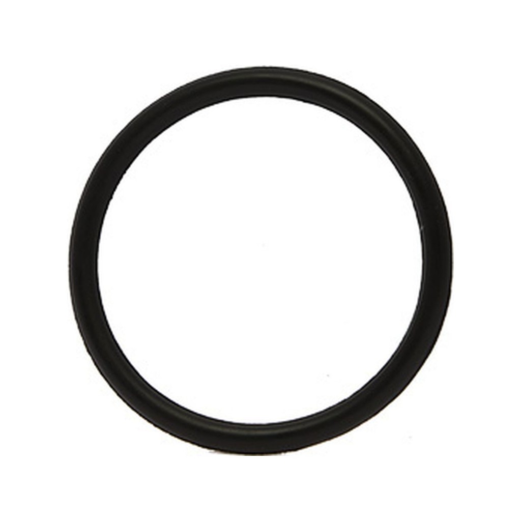Anel retentor válvula termostática GM 24580126