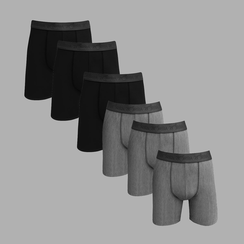 Kit 6 Cuecas Zorba Boxer Microfibra Longa 858