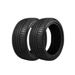Kit 2 Pneus Delinte Aro 20 245/40 ZR20 99Y XL DS7 SPORT