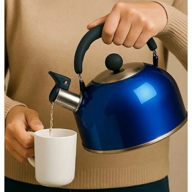 Chaleira Apito Bico Aquecimento Chá Café Chimarrão Jarra Bule Esquenta Panela Água Recipiete
