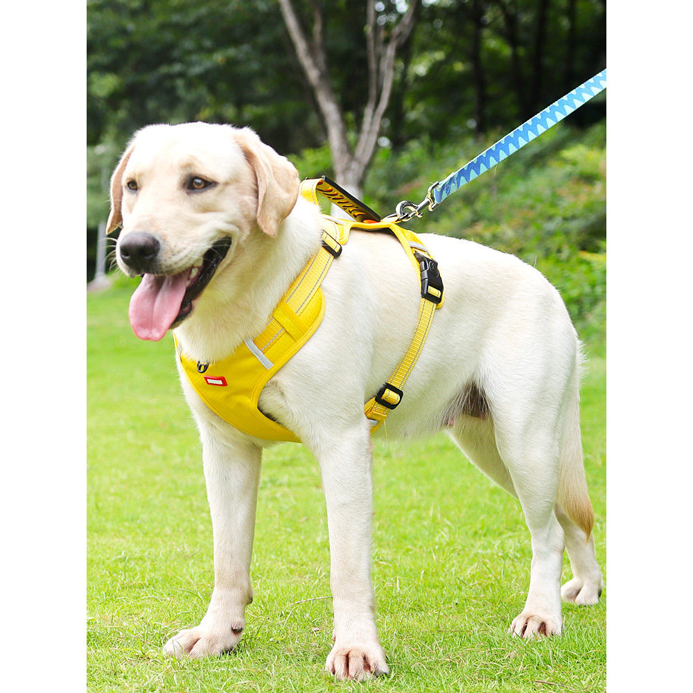 ✅ Corda de Tração ✅ Treinamento Estilo Colete Coleira Para Cães , Arnês Estilo Colete Médios E Grandes , Corrente Samoye