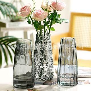Moderno simples gradiente sinfonia vaso de vidro alto valor sala estar hidropônico quarto decoração ornamentos Va
