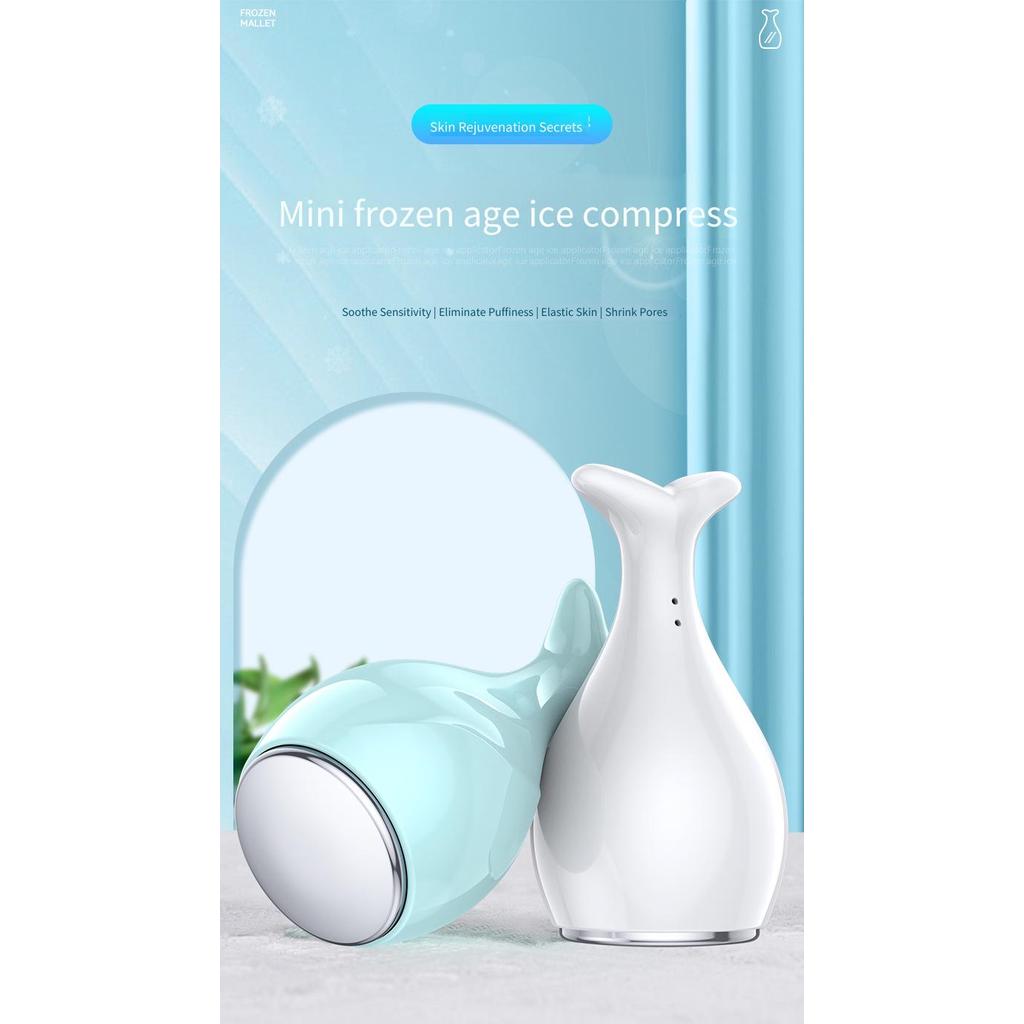 Bastão de resfriamento avançado de novo estilo Martelo de gelo de venda quente Compressor de gelo Facial Encolher poros
