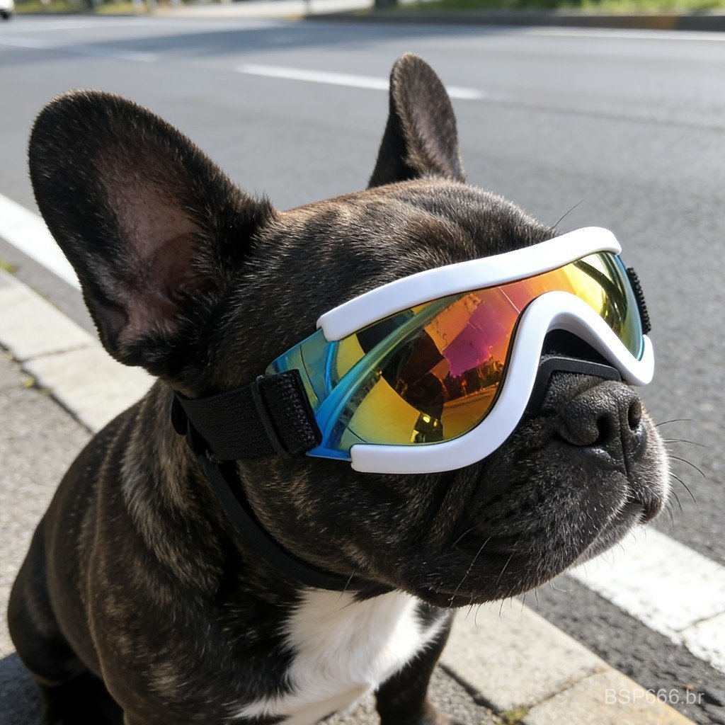 6 Cores à Escolha, Óculos de Viagem Elegantes para Cães Pequenos e Gatos Médios, À Prova de Vento e Poeira, Alças Duplas