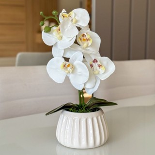 Arranjo de Orquídea Permanente Branca ou Rosa com Vaso de Cerâmica Branco Decorativo em Oferta na Shopee