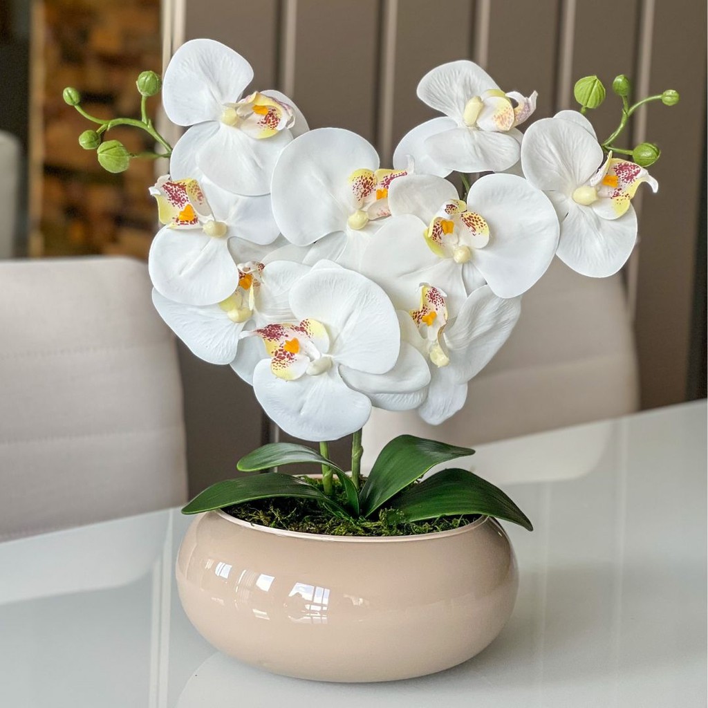 Arranjo Orquídea Branca Katia com Vaso Vidro Fendi Montado em Oferta na Shopee