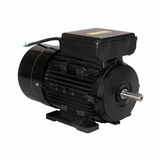 Motor Elétrico de 3CV 127-220V  60Hz 2P IP44 YL90L-2 Lynus em Oferta na Shopee