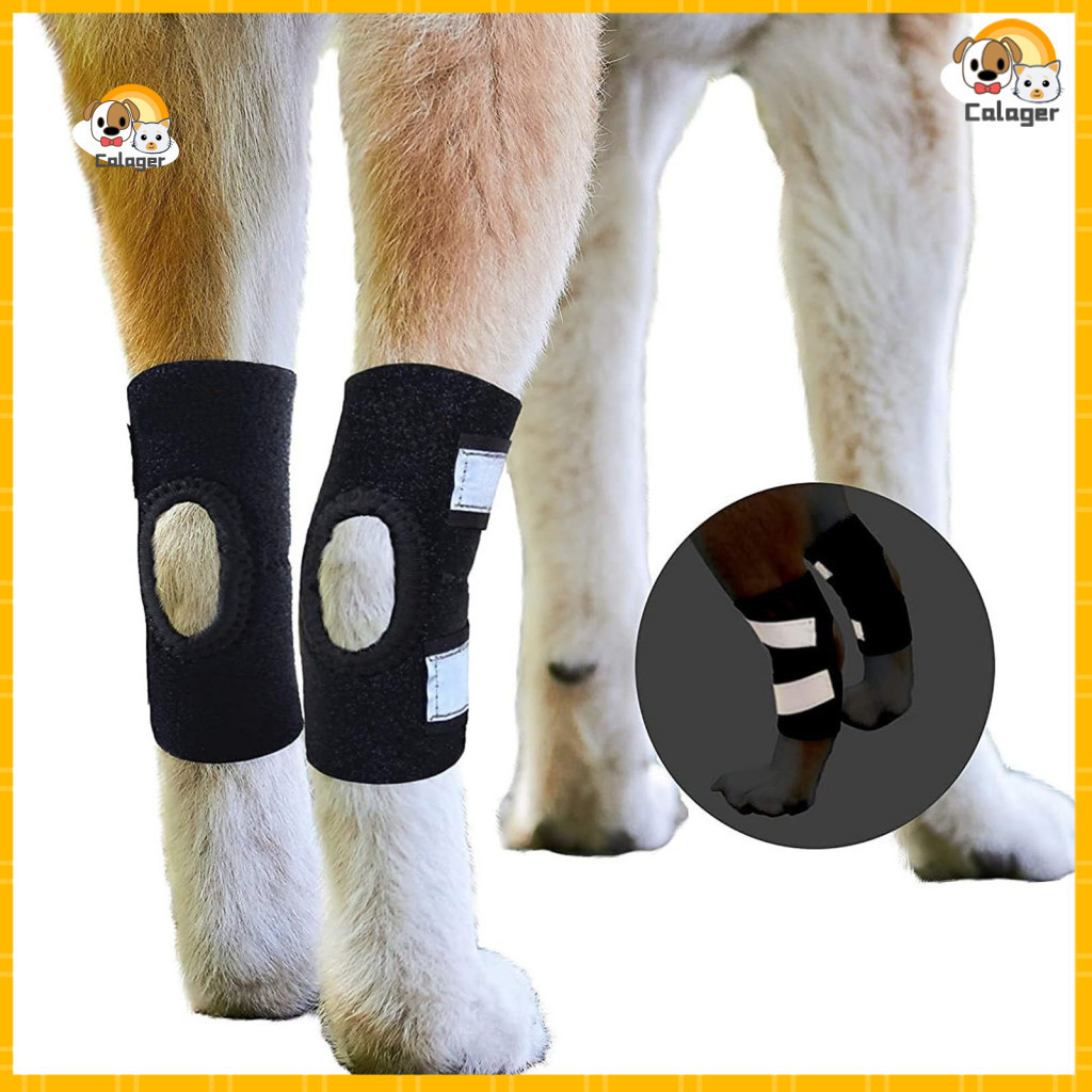Dog Joint Brace Pain Relief Strap Rear Leg for Acl Ccl Injury Canine Hock Compression Wrap Sprain Protection Arthritis f